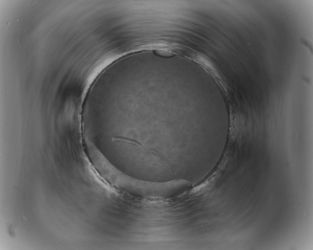 X0000103250808200808281502