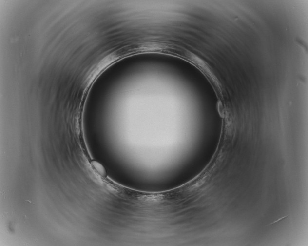 X0000103250810200808281502