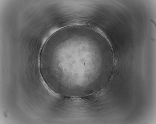 X0000103250811200808281502