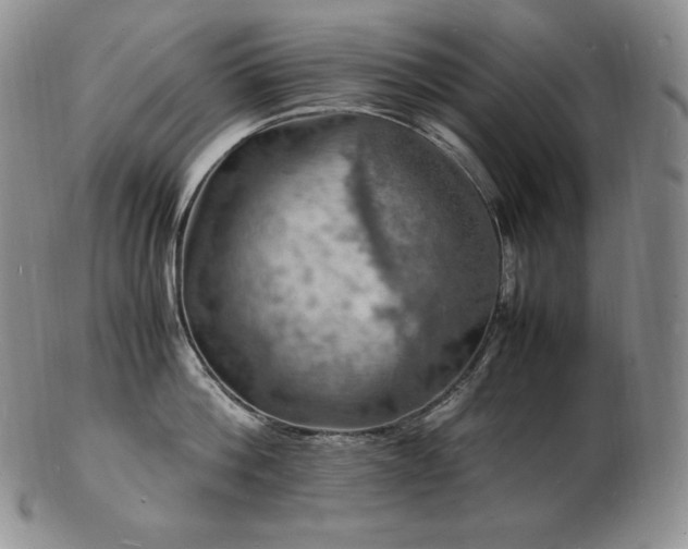 X0000103250812200808281502