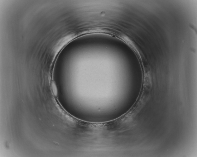 X0000103250813200808281502