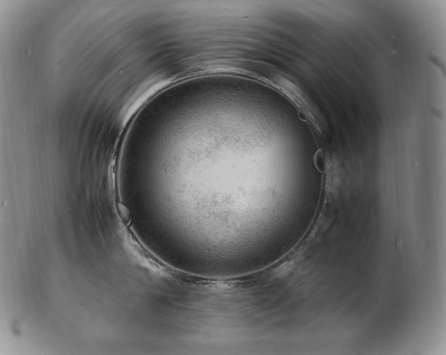 X0000103250814200808281502