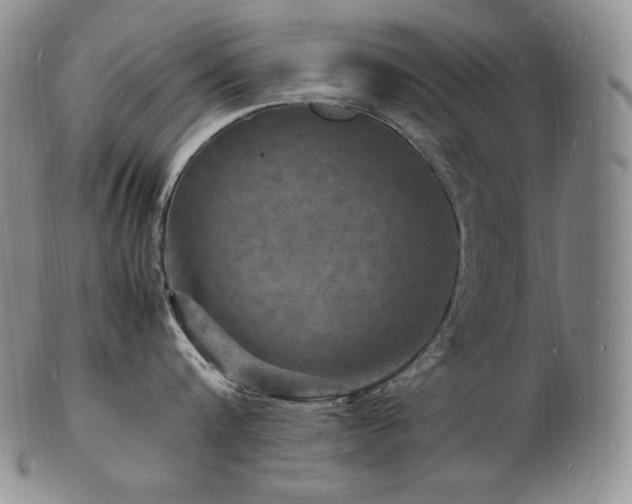 X0000103250816200808281502