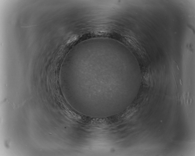 X0000103250817200808281501