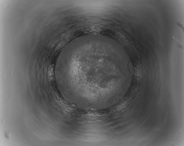X0000103250818200808281501