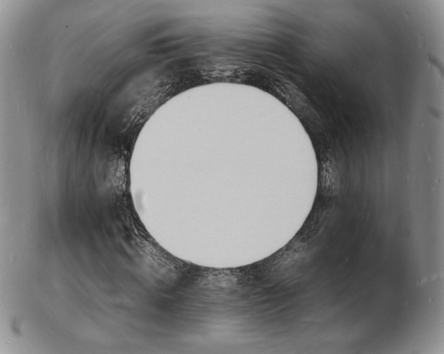 X0000103250820200808281501