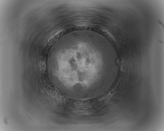 X0000103250821200808281501