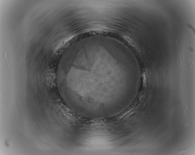 X0000103250822200808281501