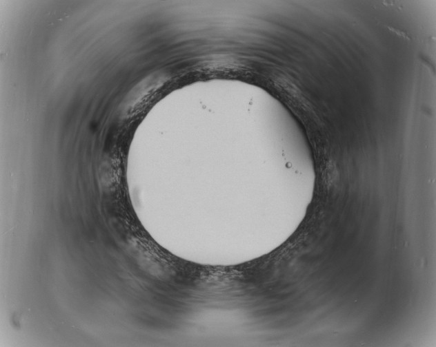 X0000103250824200808281501