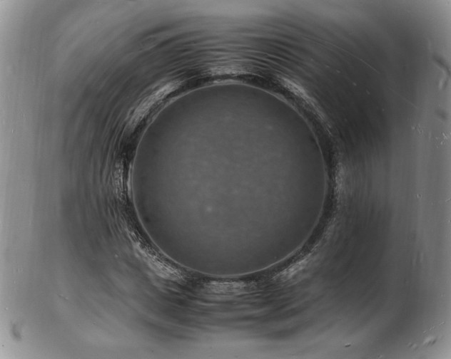 X0000103250825200808281501