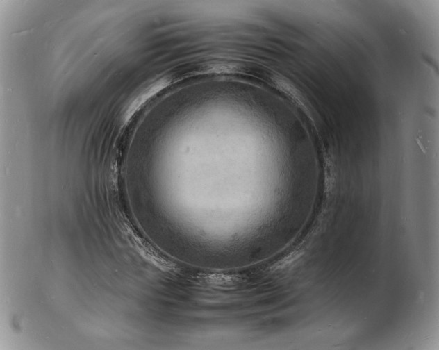 X0000103250827200808281501