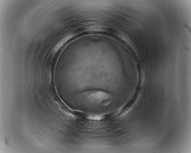 X0000103250829200808281501