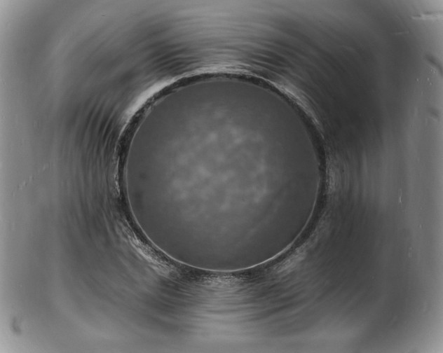X0000103250830200808281501