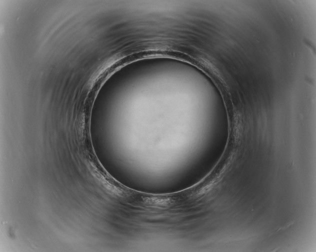 X0000103250831200808281501
