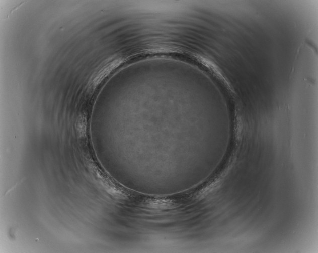 X0000103250833200808281501