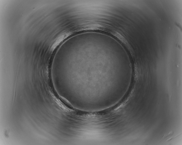 X0000103250834200808281501