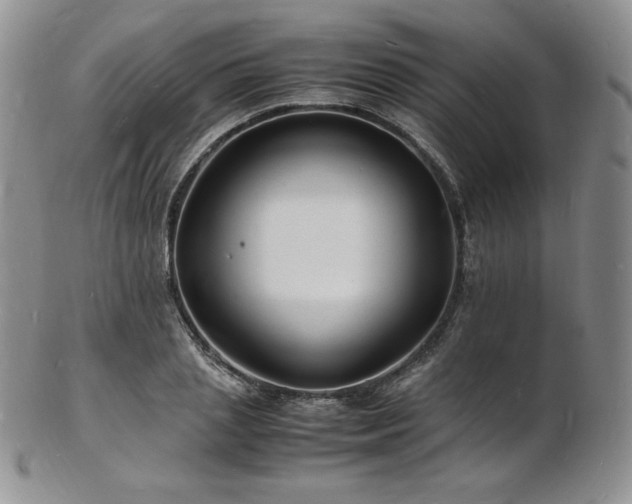 X0000103250837200808281501