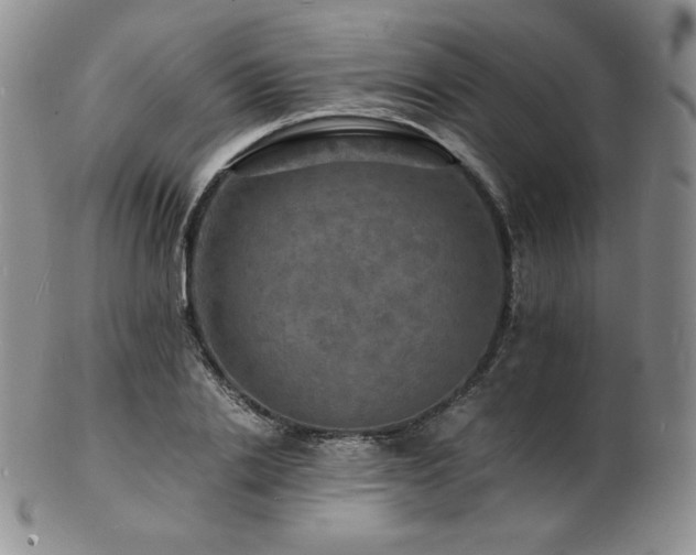 X0000103250838200808281501