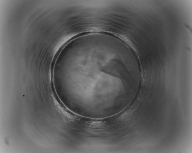 X0000103250839200808281501