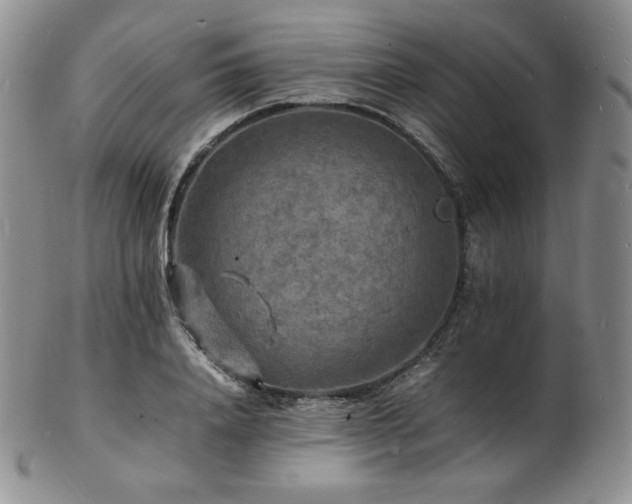 X0000103250840200808281501