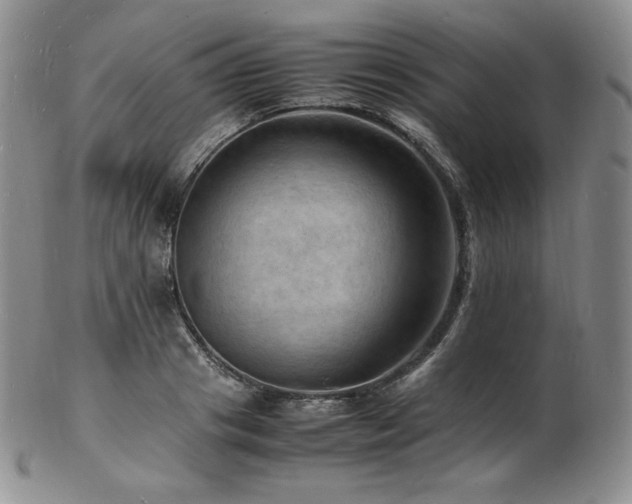 X0000103250841200808281502
