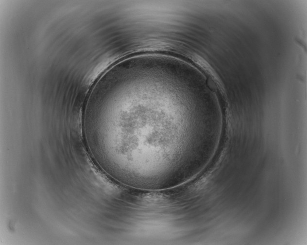 X0000103250842200808281502