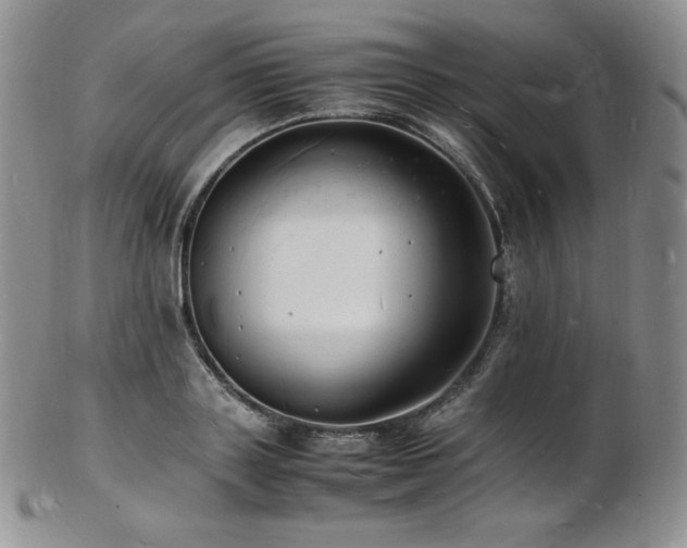 X0000103250843200808281502