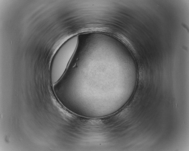X0000103250844200808281502