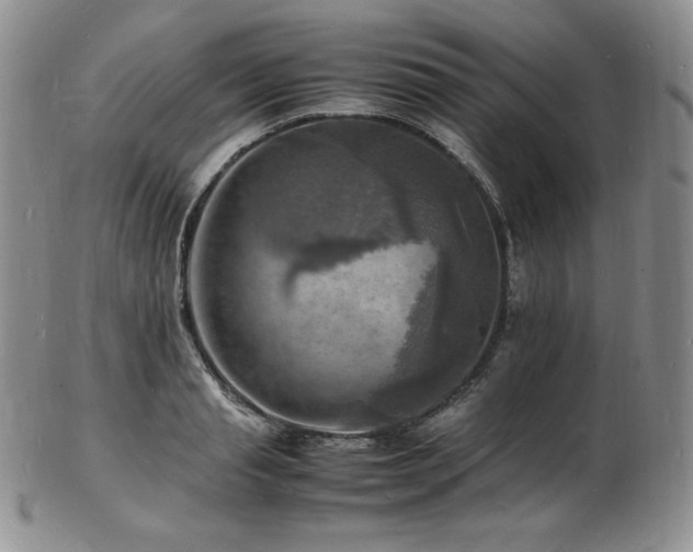 X0000103250845200808281502