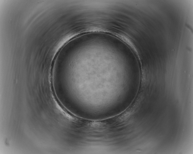 X0000103250847200808281502