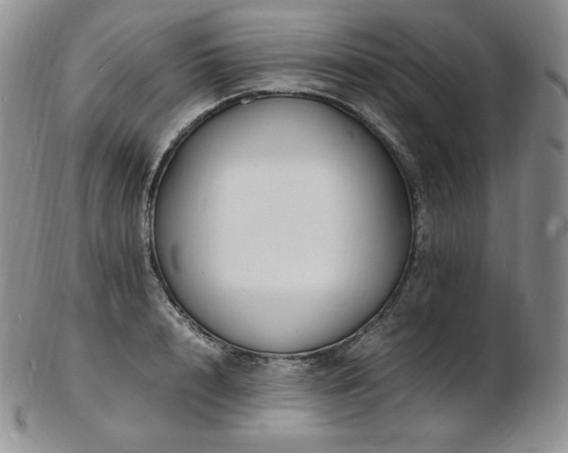 X0000103250848200808281502