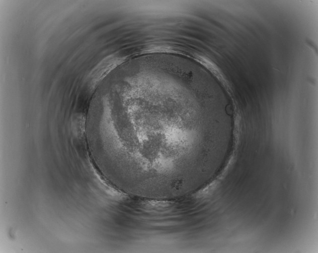 X0000103250849200808281502