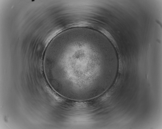 X0000103250850200808281502