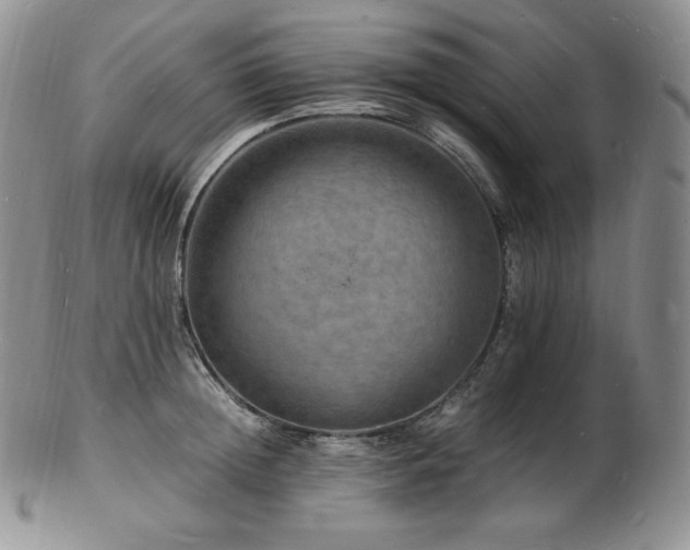 X0000103250852200808281502