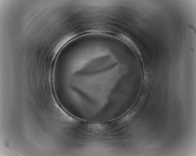 X0000103250855200808281502
