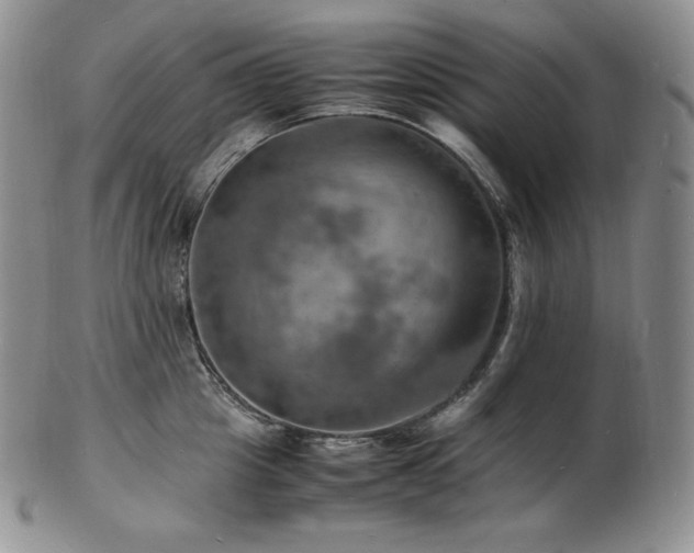 X0000103250857200808281502