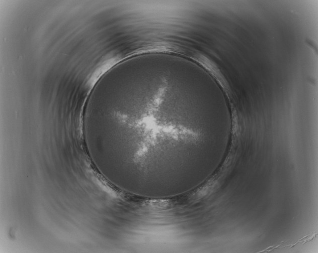 X0000103250858200808281502