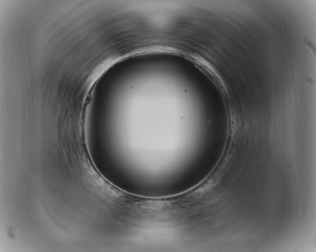 X0000103250860200808281502