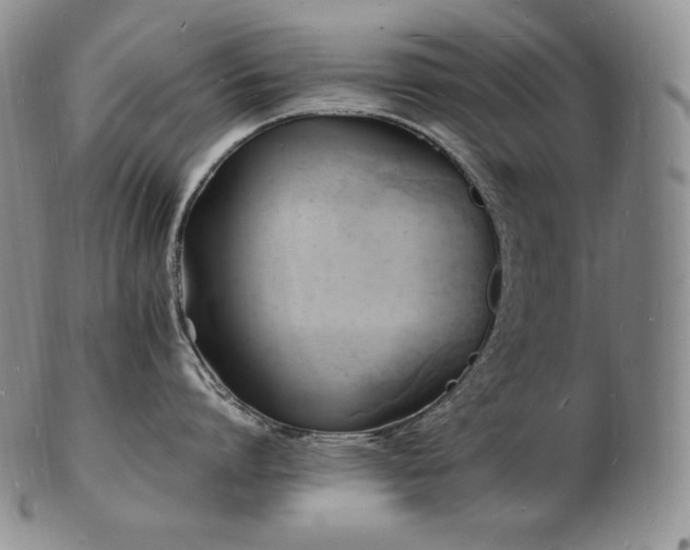 X0000103250864200808281502