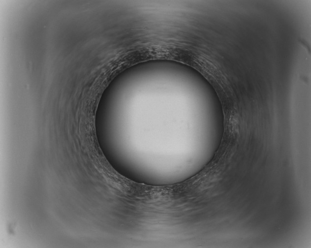 X0000103250865200808281501