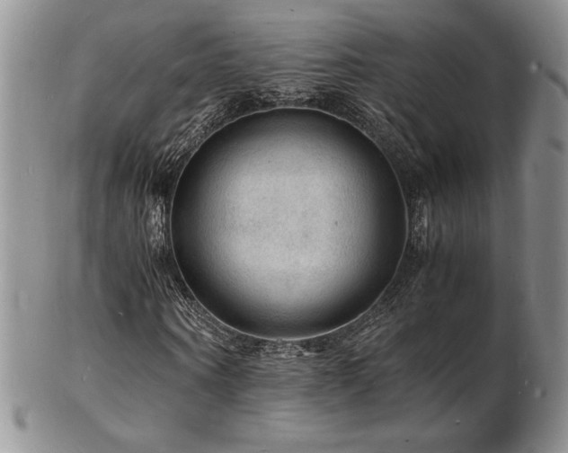 X0000103250866200808281501