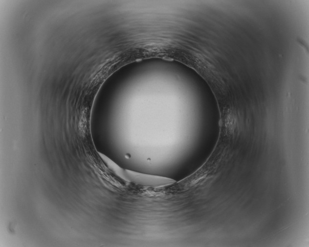 X0000103250868200808281501