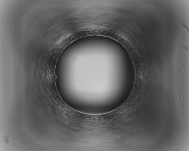X0000103250869200808281501