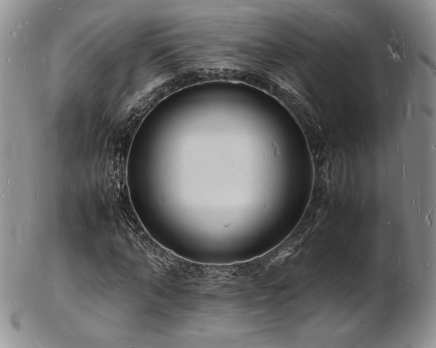 X0000103250870200808281501