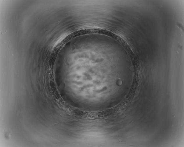 X0000103250871200808281501