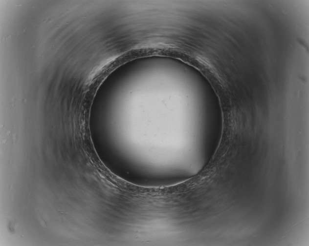 X0000103250872200808281501