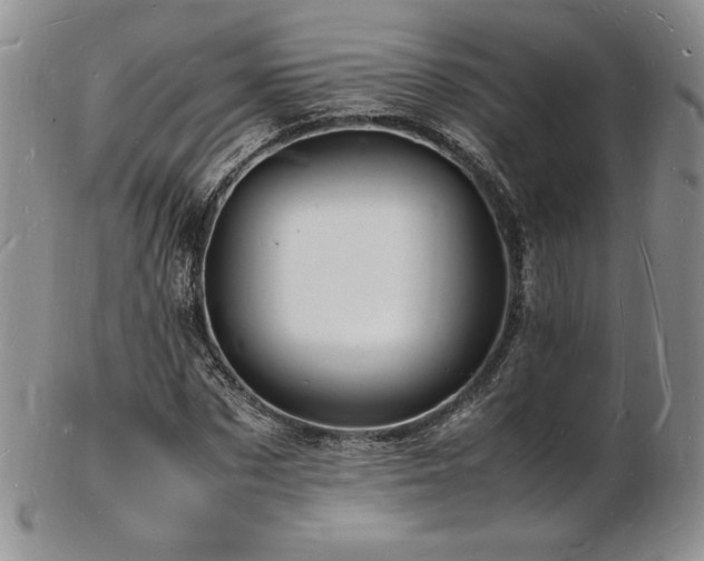 X0000103250873200808281501