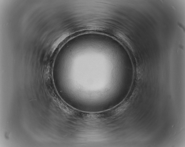 X0000103250875200808281501