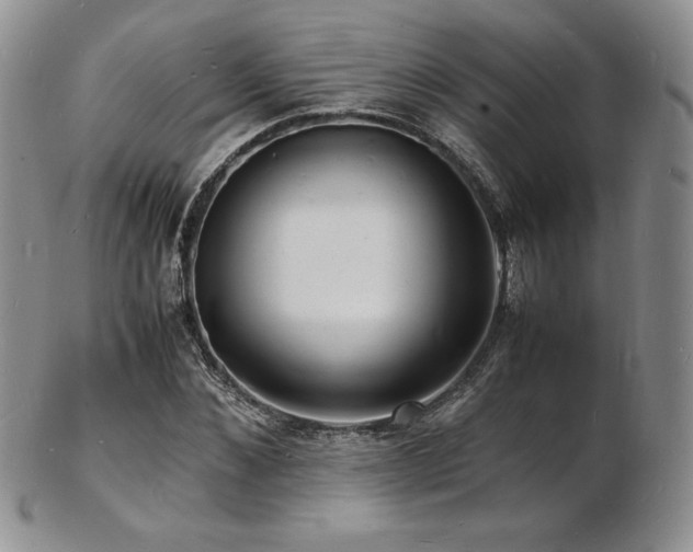 X0000103250876200808281501