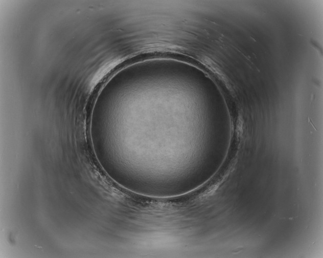 X0000103250877200808281501